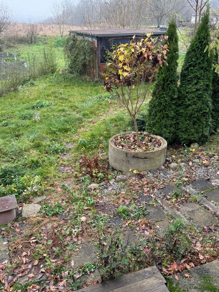 Mieszkanie 3-pokojowe Gleźno. Zdjęcie 2