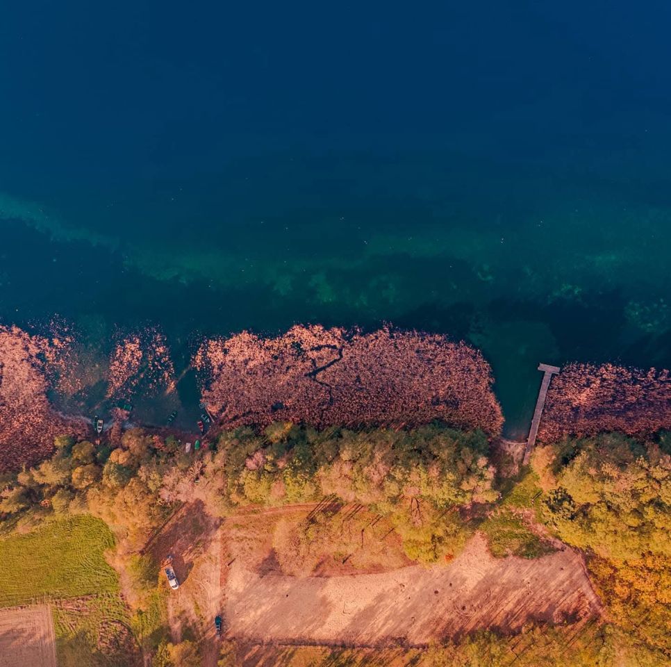 Działka rekreacyjna Dominice, ul. Dębowa. Zdjęcie 7