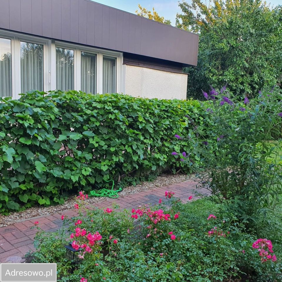 dom wolnostojący, 5 pokoi Ciechanów Podzamcze, ul. Zbyszka i Danusi. Zdjęcie 6