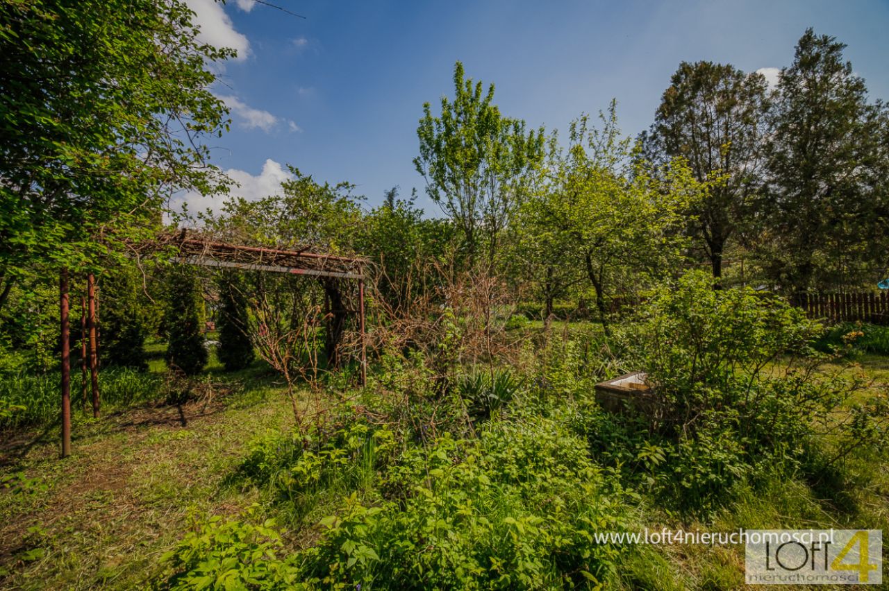 Działka rod Tarnów, ul. Grunwaldzka. Zdjęcie 9