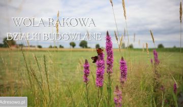 Działka budowlana Wola Rakowa, ul. Południowa