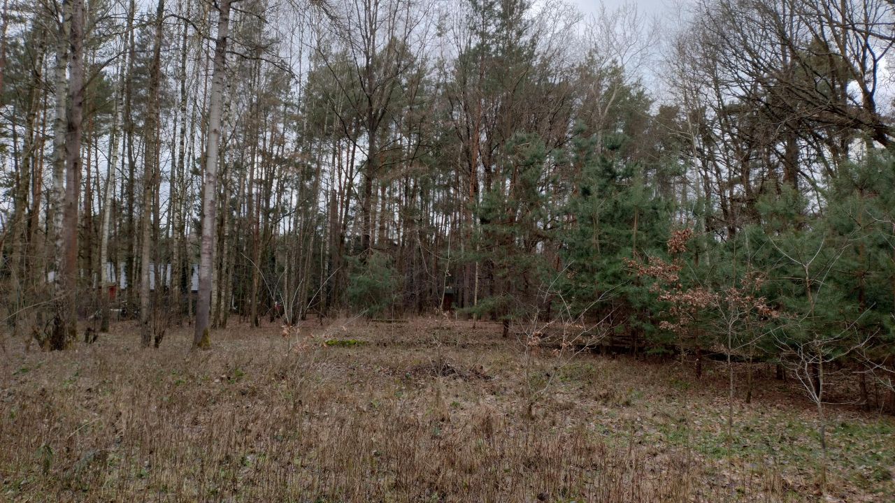 Działka budowlana Zofiówka, ul. Cmentarna. Zdjęcie 10