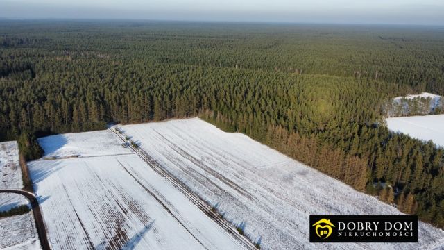 Działka budowlana Serski Las. Zdjęcie 10