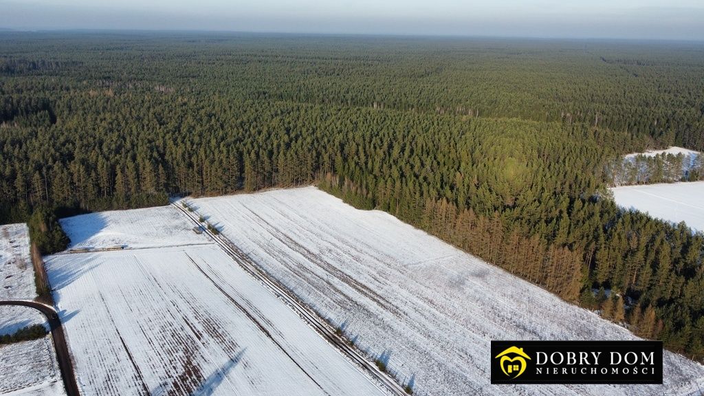 Działka budowlana Serski Las. Zdjęcie 10