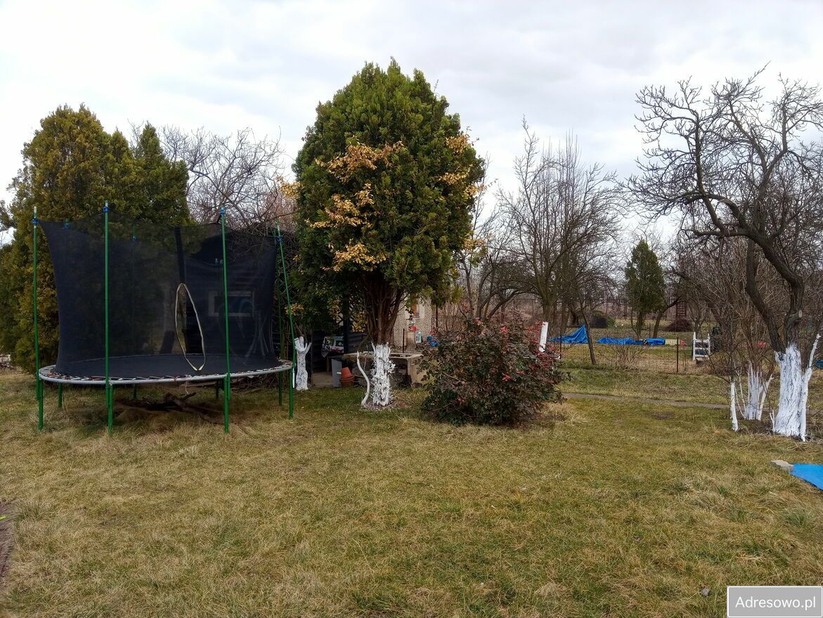 Działka rod Legnica, ul. Kryniczna. Zdjęcie 4