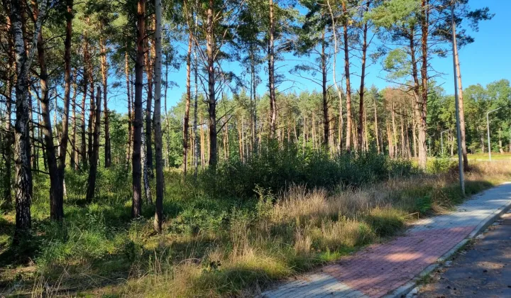 Działka budowlana Borzęcin Łazy