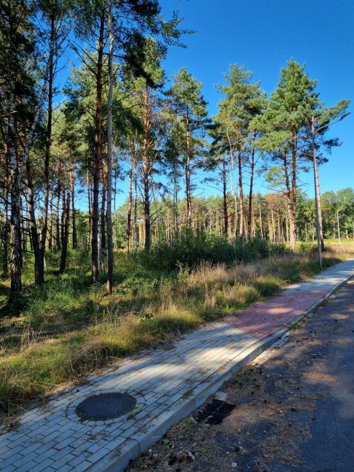 Działka budowlana Borzęcin Łazy. Zdjęcie 1