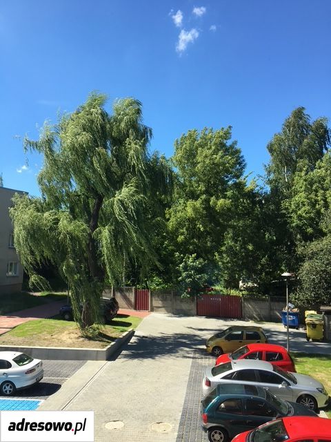 Mieszkanie 2-pokojowe Częstochowa Podjasnogórska , ul. Oleńki. Zdjęcie 12