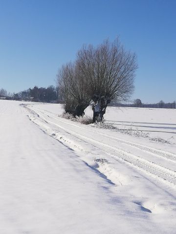 Działka budowlana Czernikowice. Zdjęcie 1