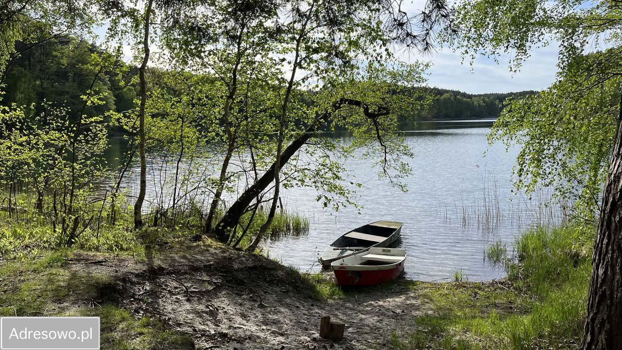 Działka rekreacyjna Borowy Młyn. Zdjęcie 19