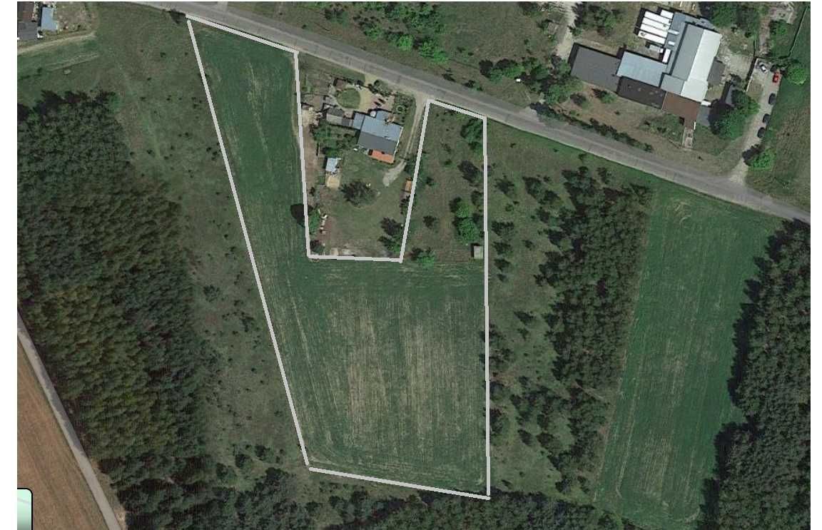 Działka siedliskowa Orłowo. Zdjęcie 2