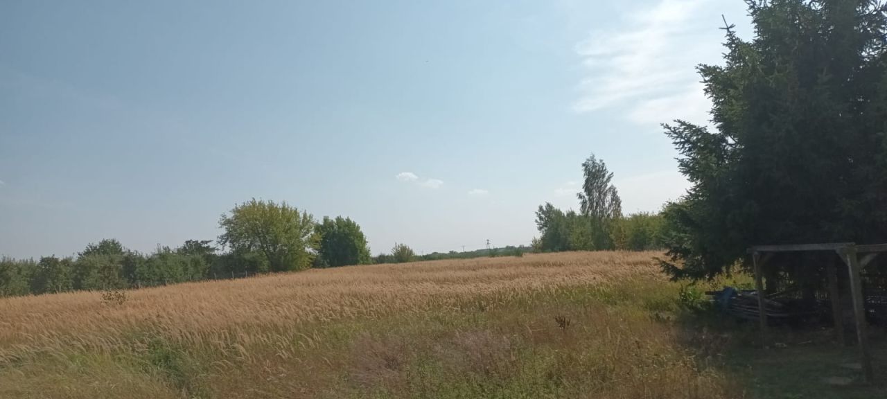 Działka rolno-budowlana Chynów, ul. Wspólna. Zdjęcie 2