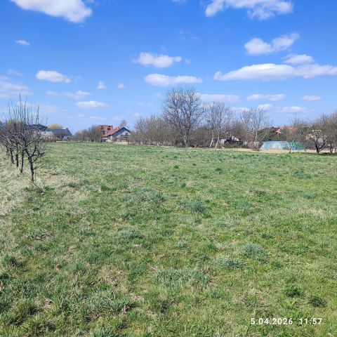 dom wolnostojący, 3 pokoje Bodzechów, ul. Żurawia. Zdjęcie 20
