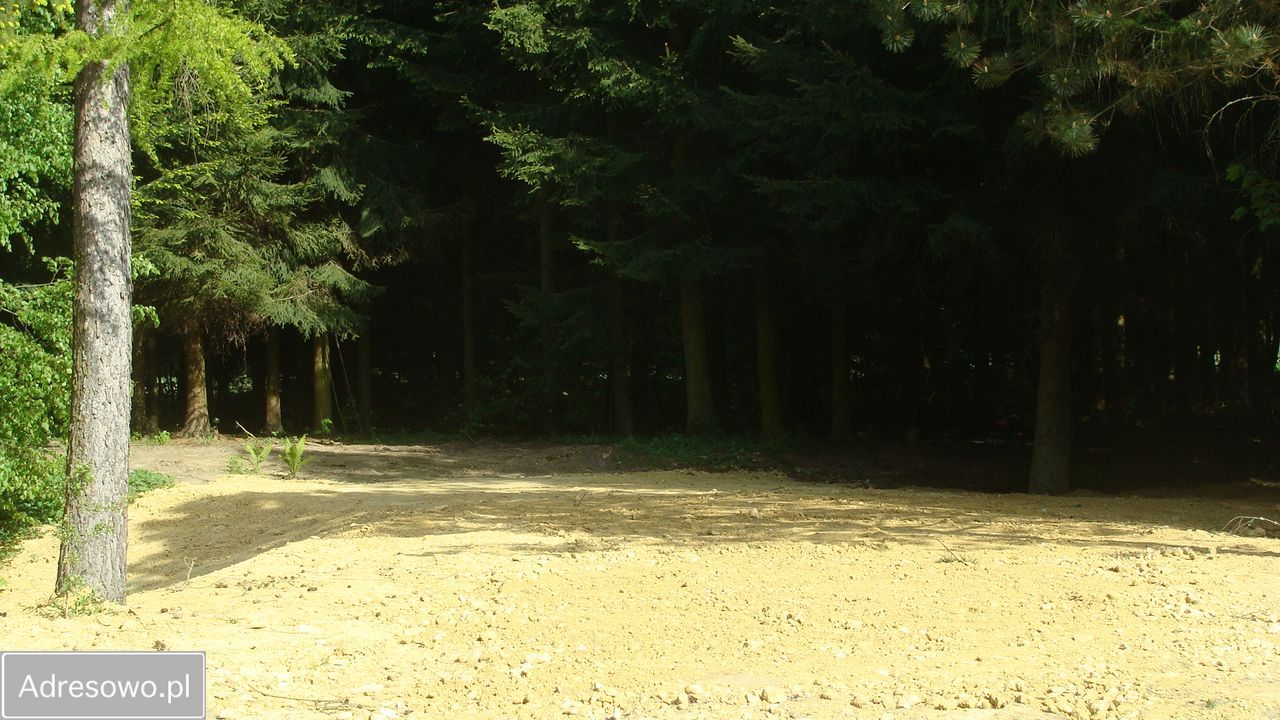 Działka rolna Domaszków, ul. Kolejowa. Zdjęcie 6