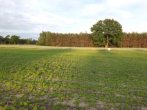 Działka budowlana Janów Ruszki. Zdjęcie 1