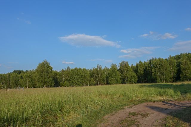 Działka budowlana Grzepnica. Zdjęcie 1