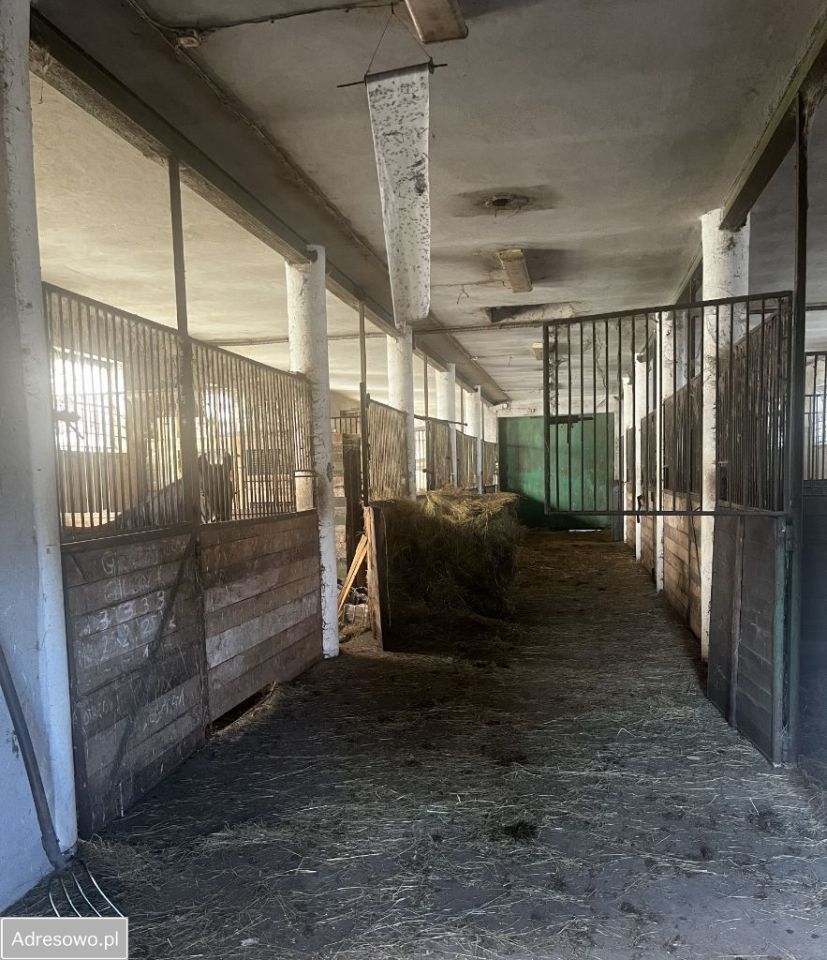 gospodarstwo, 4 pokoje Olszowiec. Zdjęcie 8