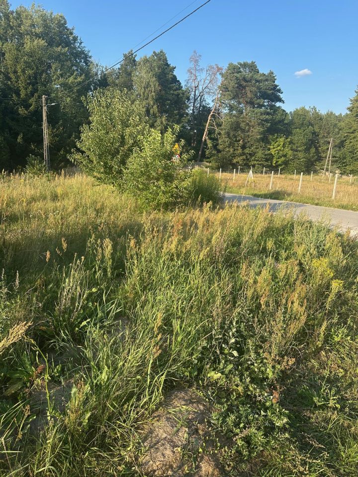 Działka budowlana Bądzyń, ul. ks. Brzóski. Zdjęcie 1