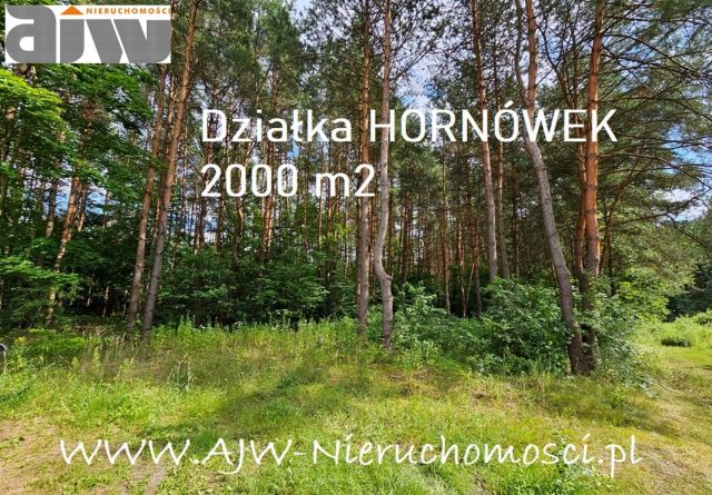 Działka budowlana Hornówek. Zdjęcie 1