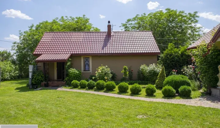 siedlisko, 3 pokoje Boleszyn Boleszyn-Kolonie