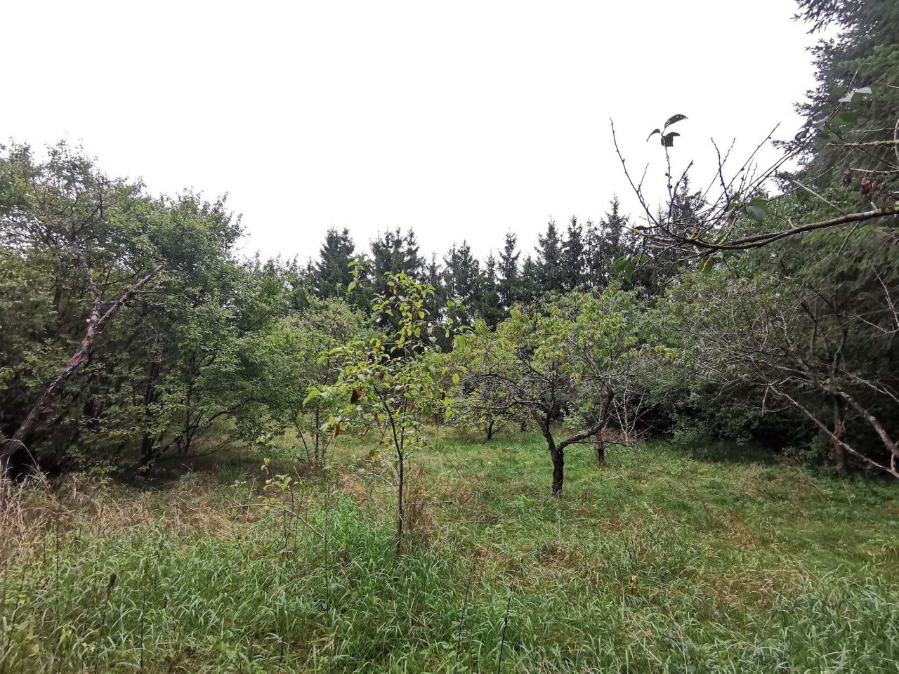 Działka inwestycyjna Złotów. Zdjęcie 9