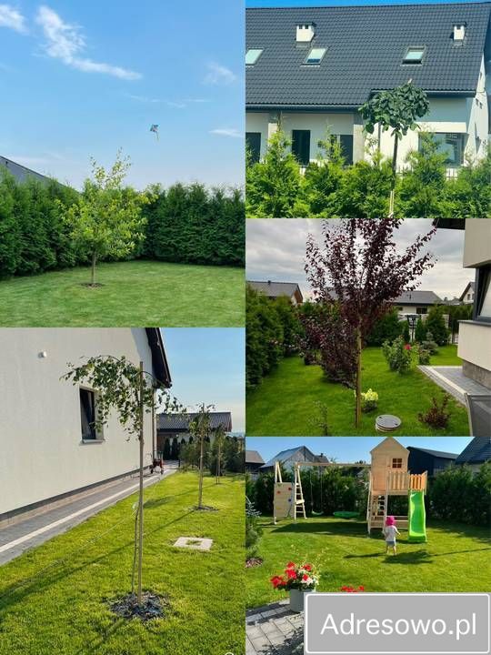 dom wolnostojący, 5 pokoi Prawiedniki. Zdjęcie 8