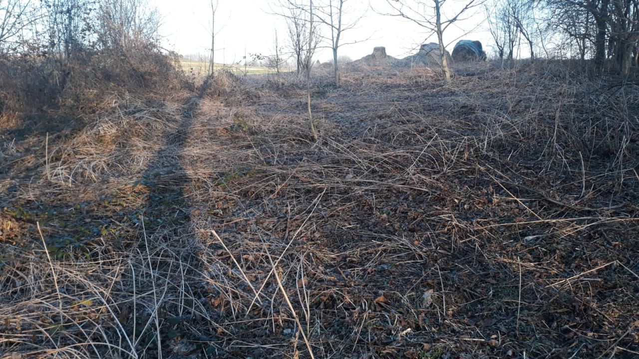 Działka rolno-budowlana Dobroszów. Zdjęcie 4