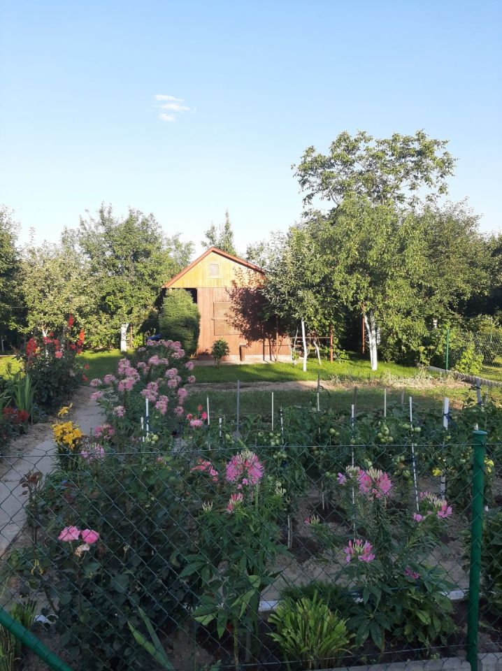 Działka rod Lublin. Zdjęcie 7