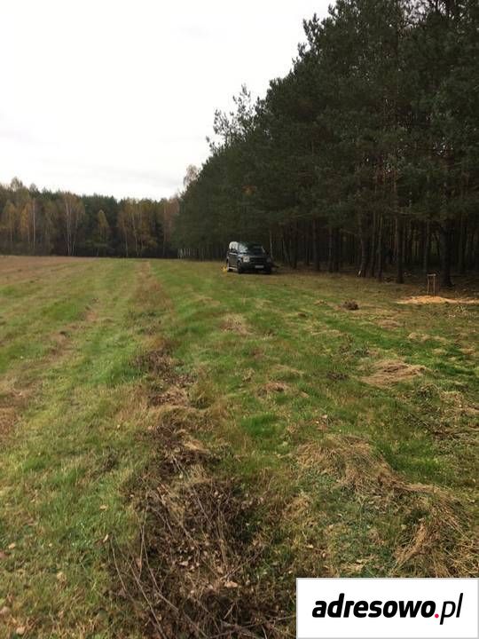 Działka Samogoszcz. Zdjęcie 8