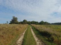 Działka rolna Pilec. Zdjęcie 4