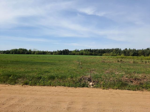 Działka rolno-budowlana Ploski. Zdjęcie 1