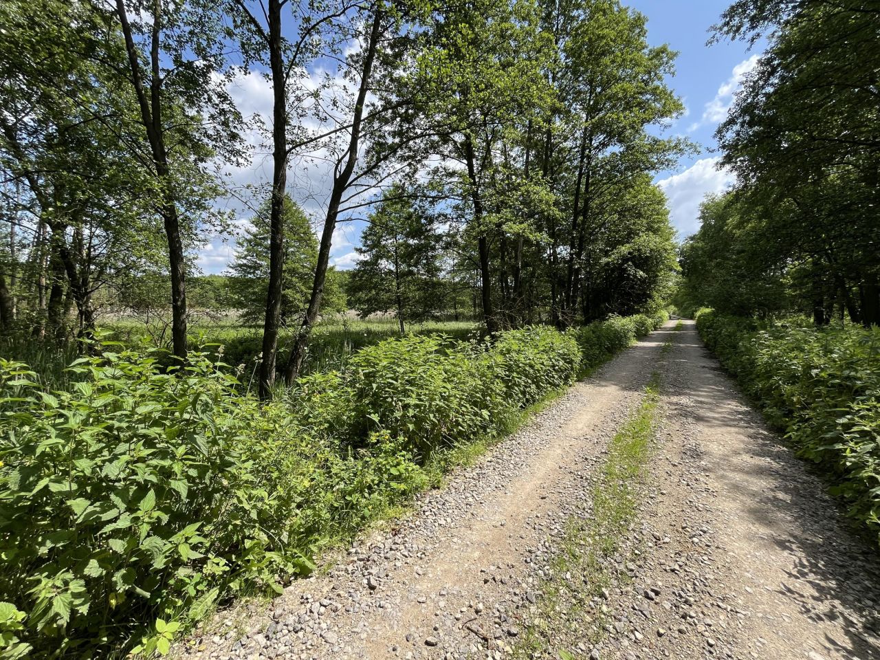 Działka rolna Siennica Nadolna