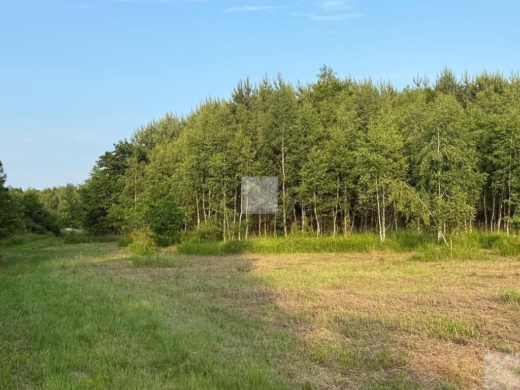 Działka rekreacyjna Radawa, ul. Cienkie. Zdjęcie 12