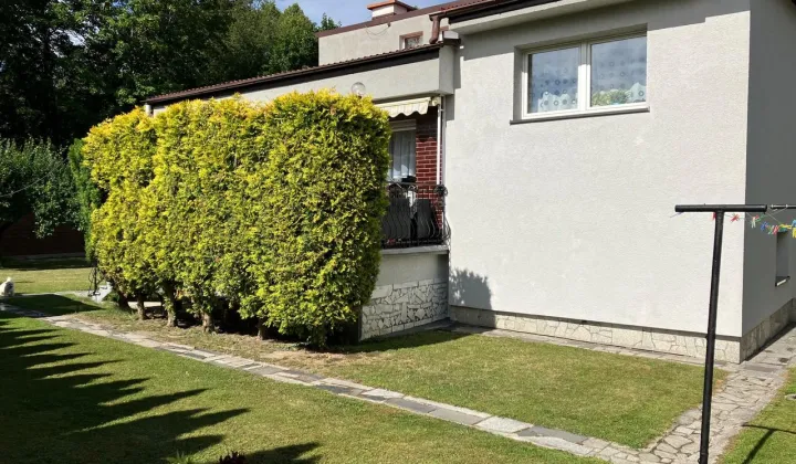 dom wolnostojący, 6 pokoi Świdnica