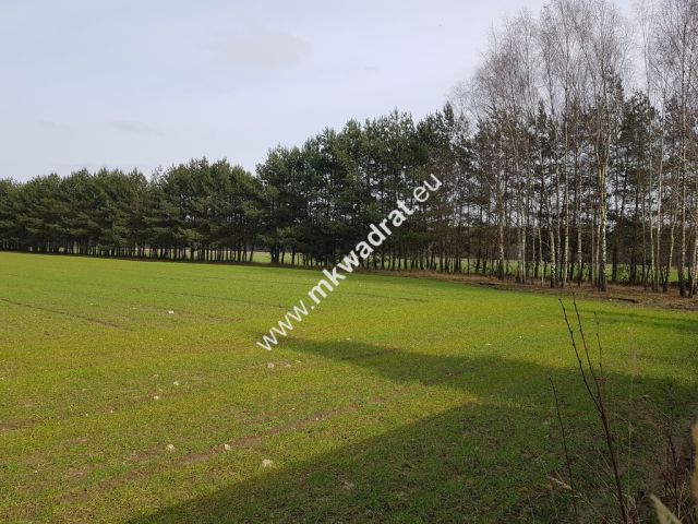 Działka Budy Wolskie. Zdjęcie 3