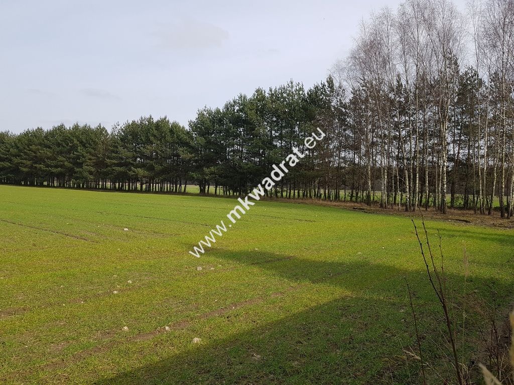 Działka Budy Wolskie. Zdjęcie 3