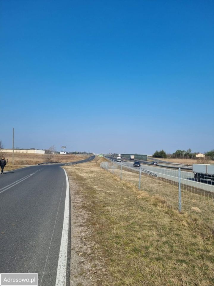 Działka inwestycyjna Promna-Kolonia. Zdjęcie 4