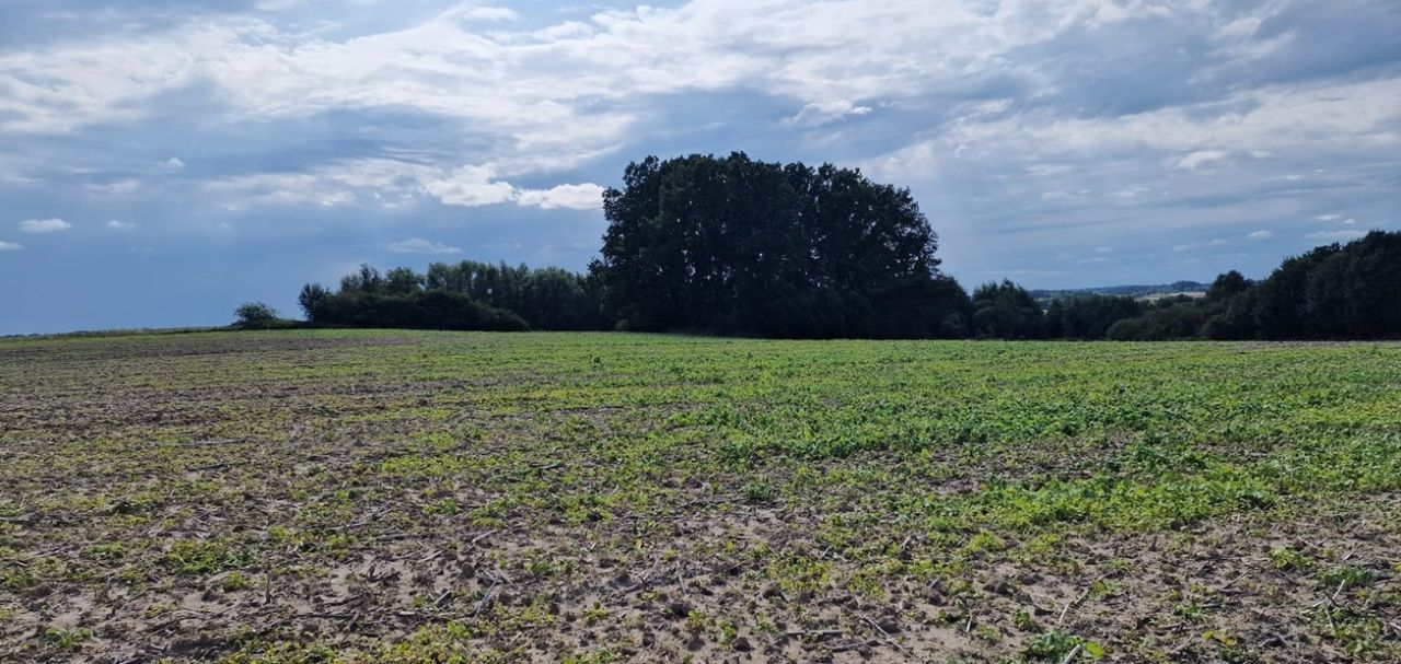 Działka rekreacyjna Łuczyna. Zdjęcie 1