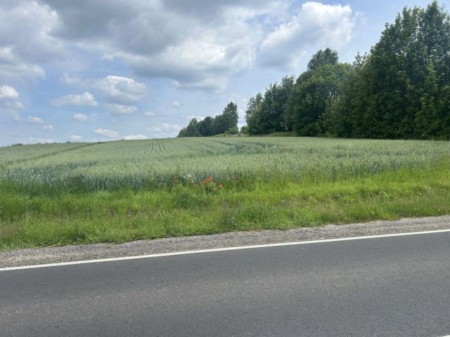 Działka rolna Tomiszowice. Zdjęcie 1