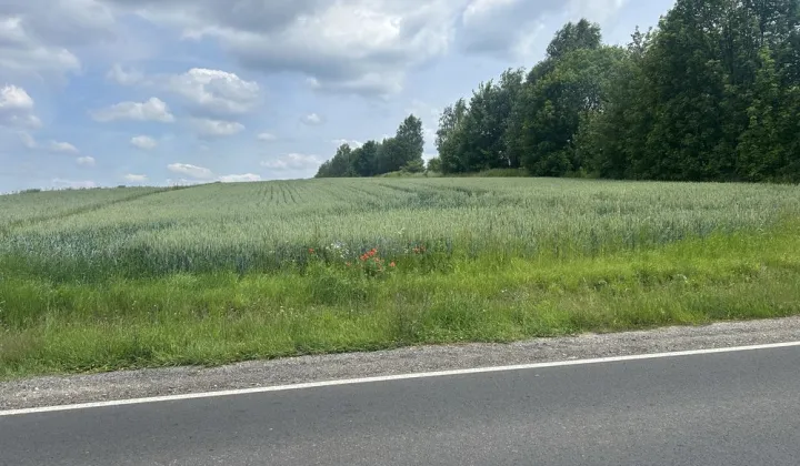 Działka rolna Tomiszowice