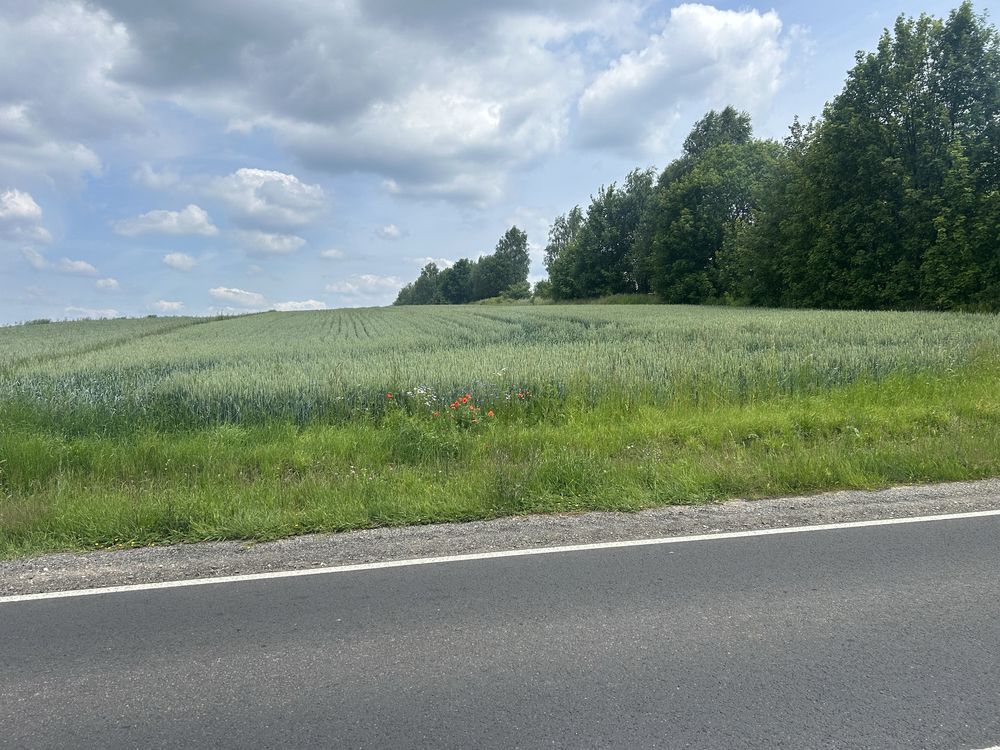 Działka rolna Tomiszowice. Zdjęcie 1
