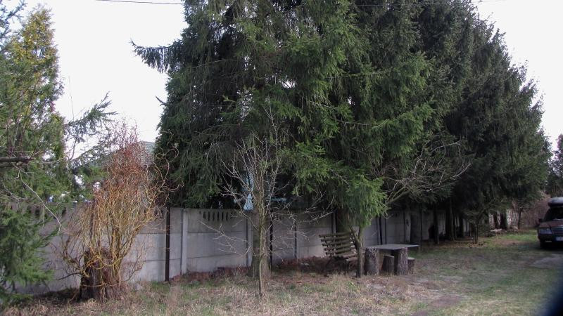 dom wolnostojący, 4 pokoje Boksycka. Zdjęcie 5