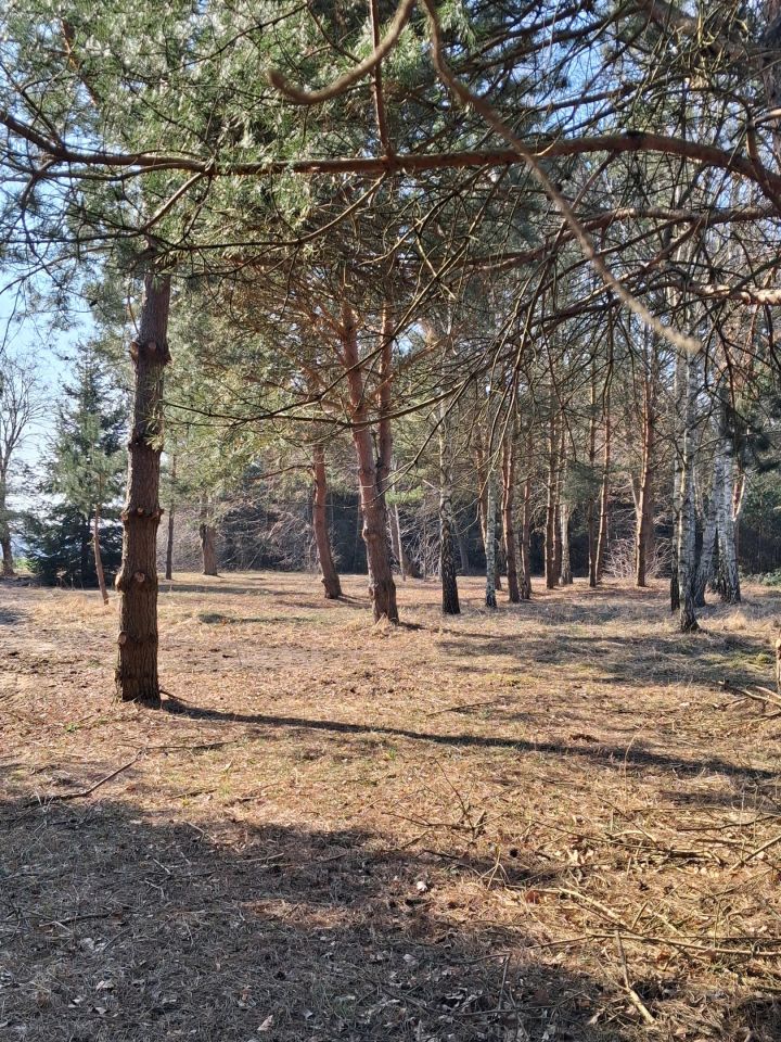 Działka budowlana Ossówno. Zdjęcie 8