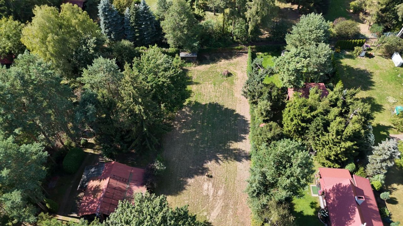 Działka rekreacyjna Skrzeszew, ul. Wczasowa. Zdjęcie 5