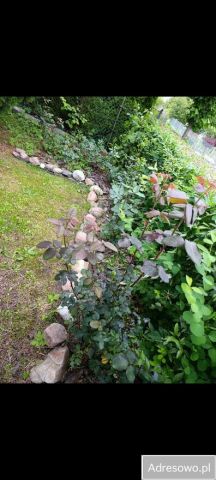 Działka rod Tarnobrzeg. Zdjęcie 1