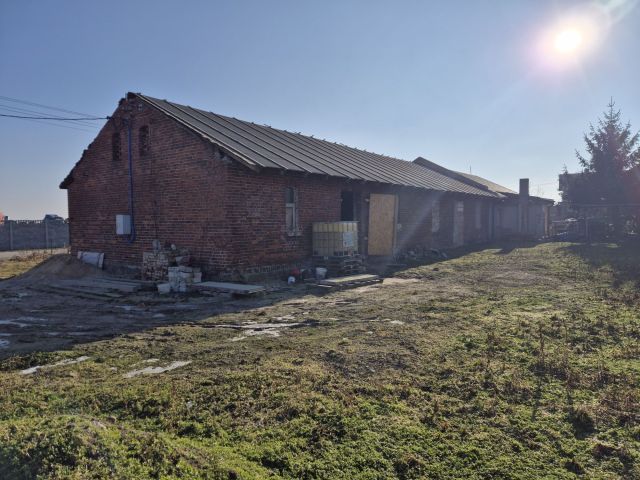 bliźniak Czarny Sad. Zdjęcie 1