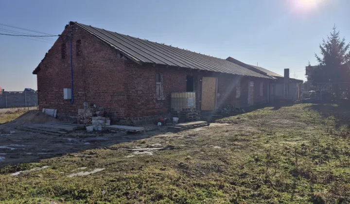 bliźniak Czarny Sad