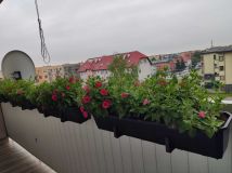 Mieszkanie 2-pokojowe Maków Mazowiecki, ul. Ciechanowska. Zdjęcie 3