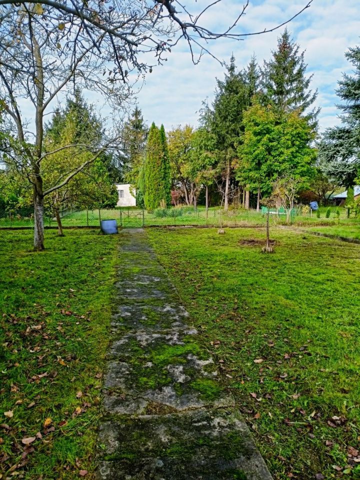 Działka rod Żary. Zdjęcie 8