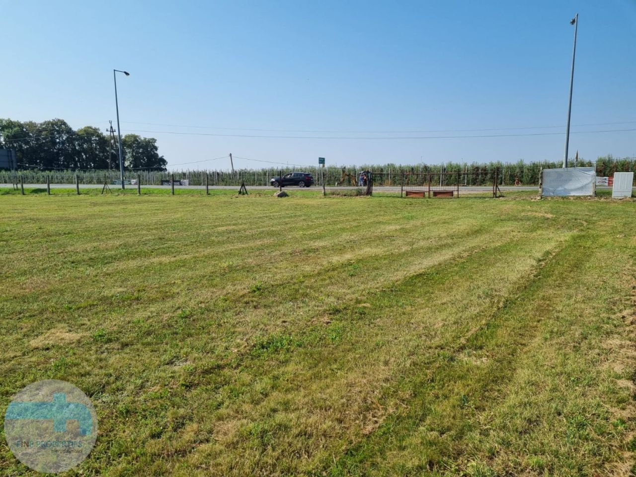 Działka inwestycyjna Dębe. Zdjęcie 2